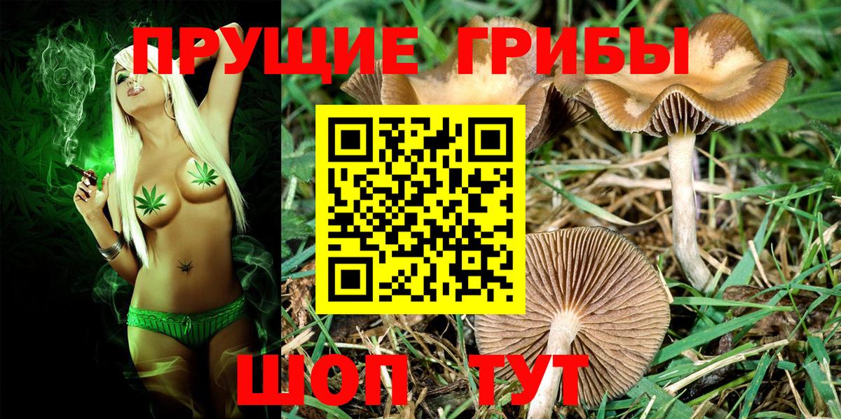 Галлюциногенные грибы Magic Shrooms Псков
