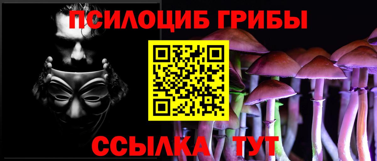 Псков  Псилоцибиновые грибы MAGIC MUSHROOMS  Вход с VPN 
