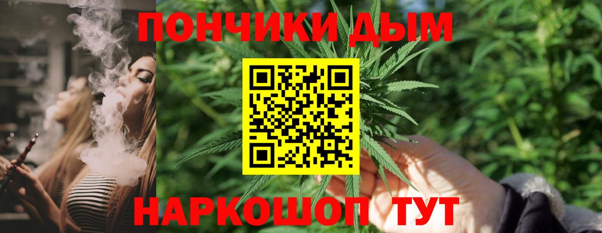 Шишки марихуана конопля Псков